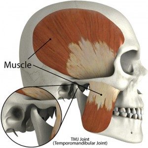 TMJ skull joint